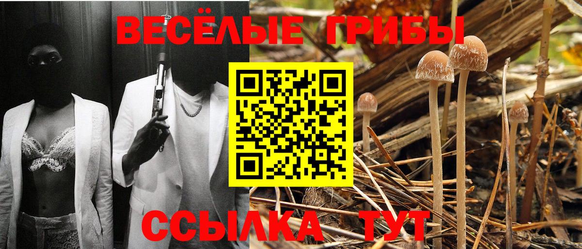 Псилоцибиновые грибы GOLDEN TEACHER  Вход с VPN  Балашиха 