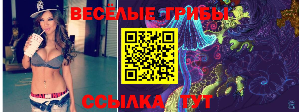 Псилоцибиновые грибы Psilocybe Балашиха
